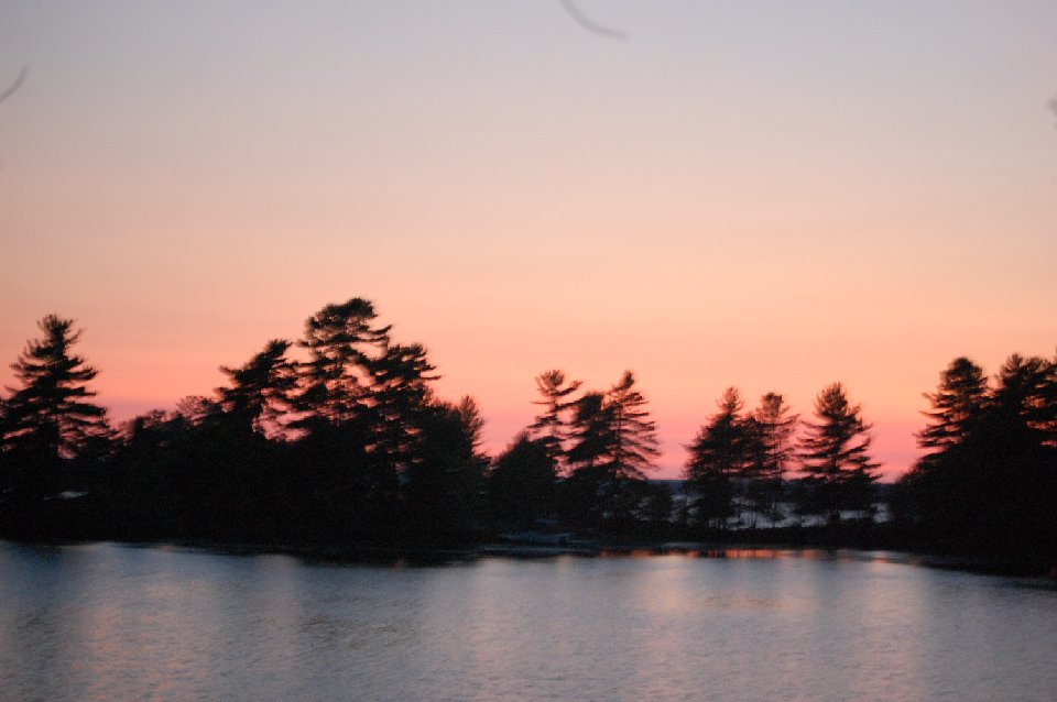 SUMMER (160)
